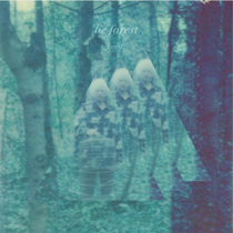 Be Forest - Cold